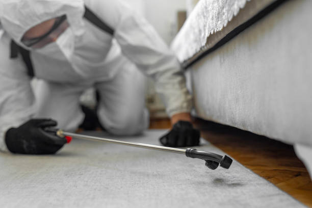 Professional Mosquito Control technician working in Roma, TX
