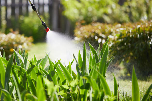 24/7 Emergency Mosquito Control experts in Roma, TX