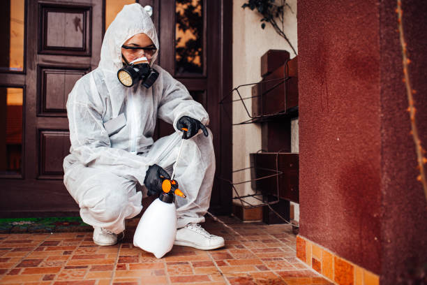 Reliable Mosquito Control contractor in Roma, TX by Nex Pest Control